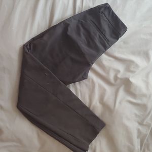 Express columnist ankle pant